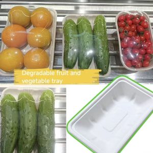 bagasse produce trays – for meat, fruit & vegetable packaging