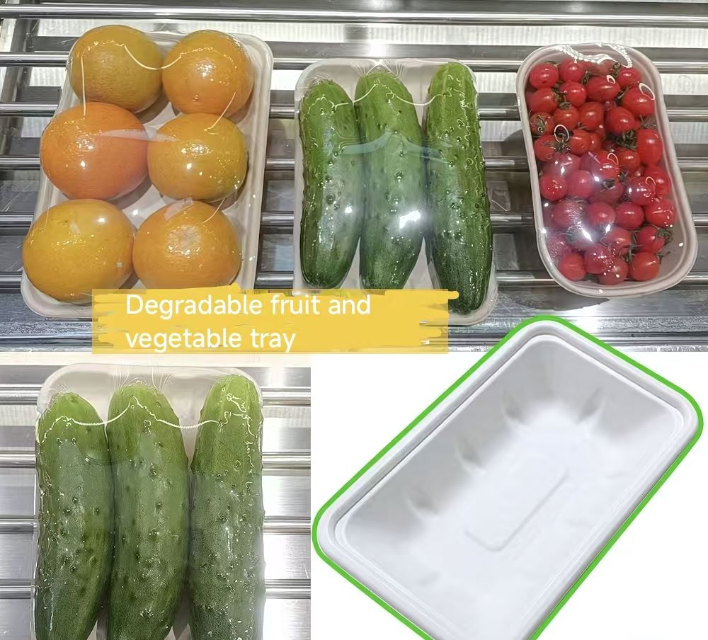 bagasse produce trays – for meat, fruit & vegetable packaging