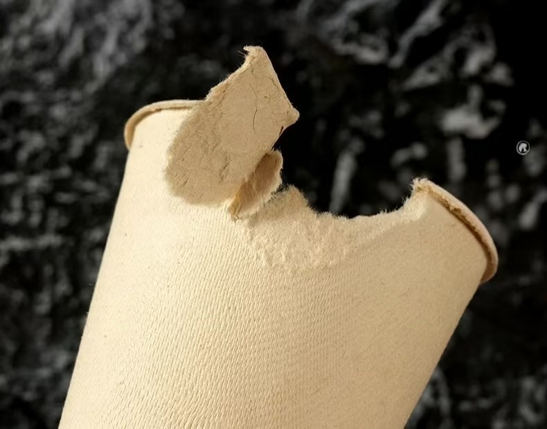 waste reduction & renewable material bagasse coffee cup