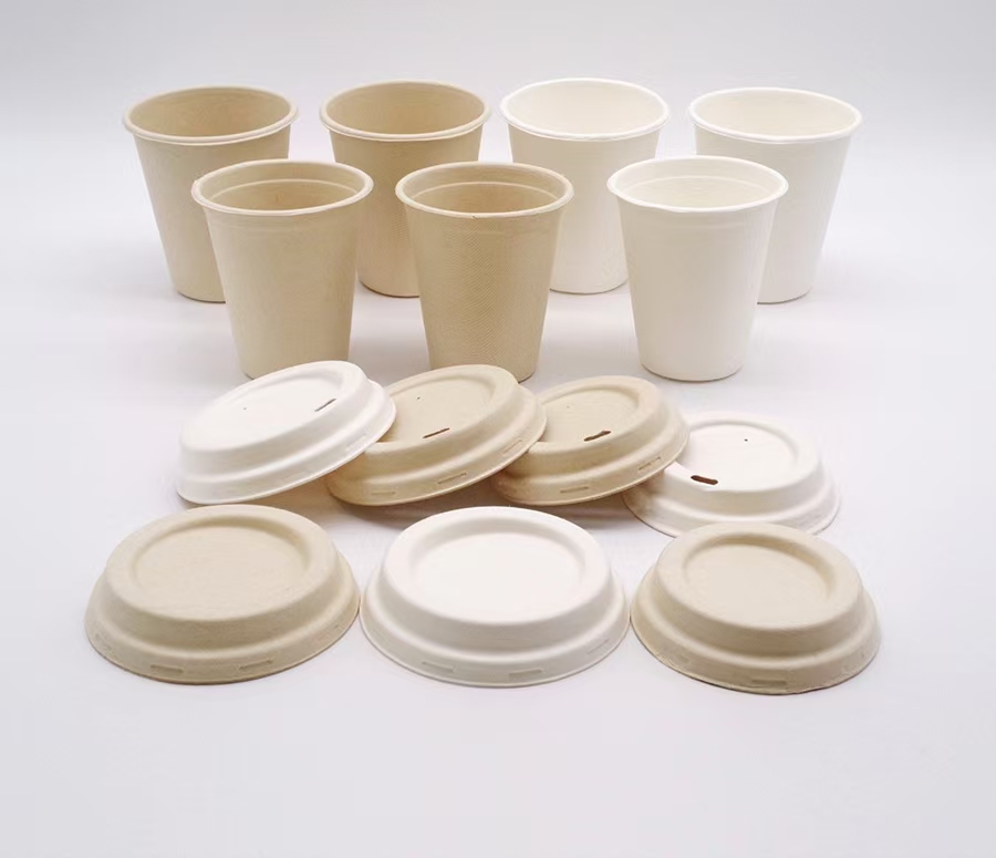 bagasse coffee cups 1
