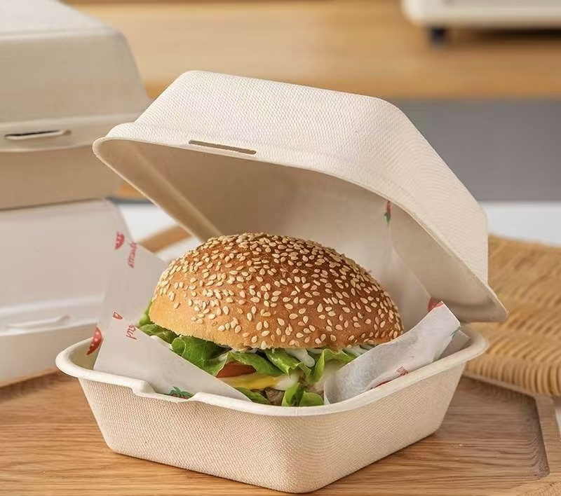 eco friendly burger box