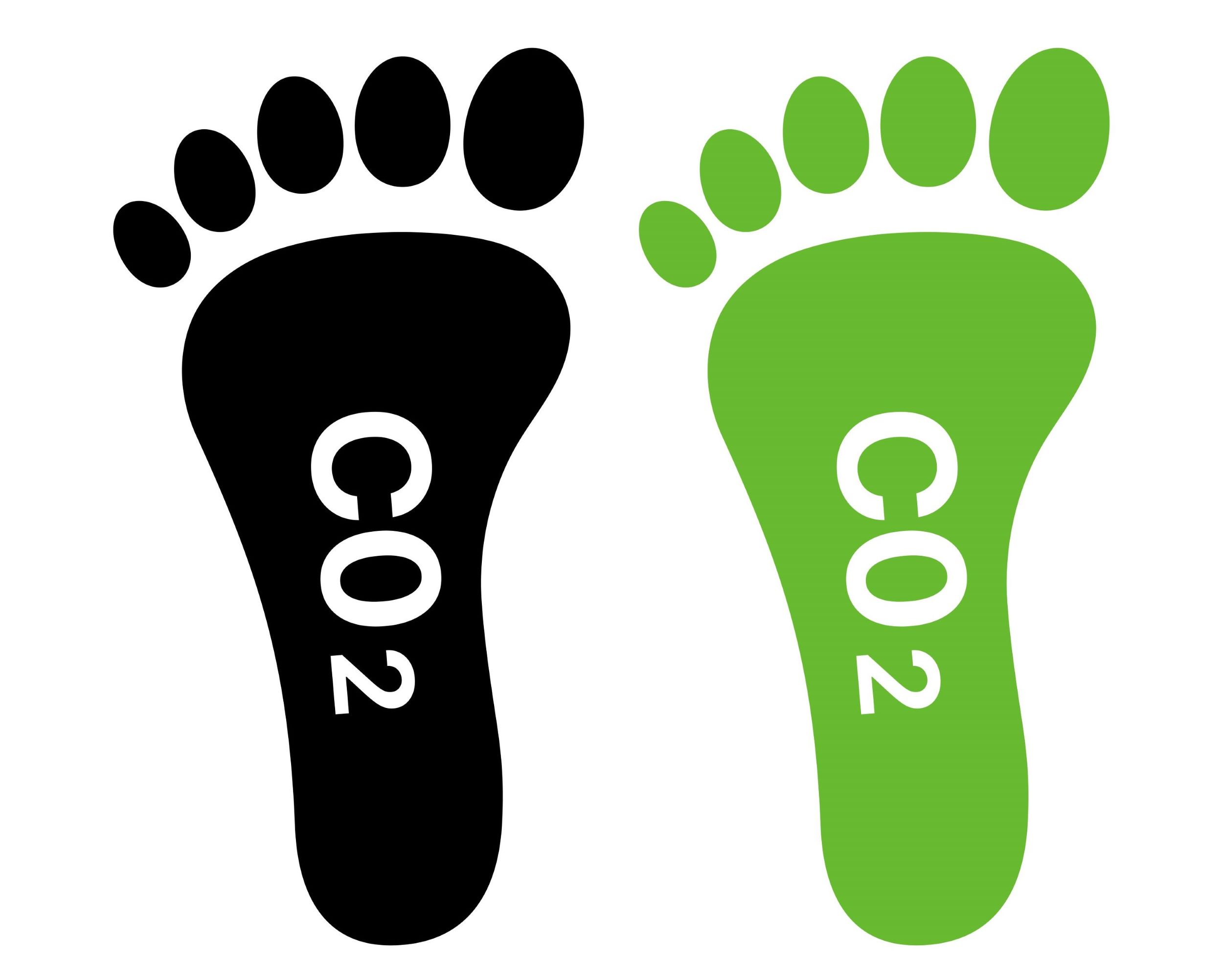 carbon footprint
