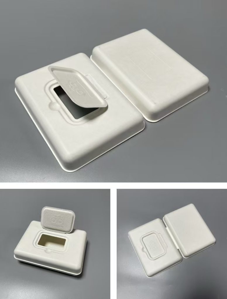 pulp molded packaging(bagasse pulp)