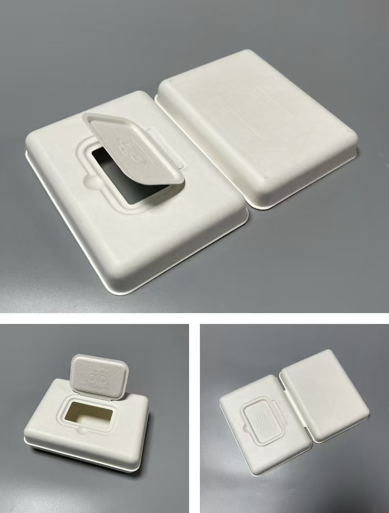 pulp molded packaging(bagasse pulp)