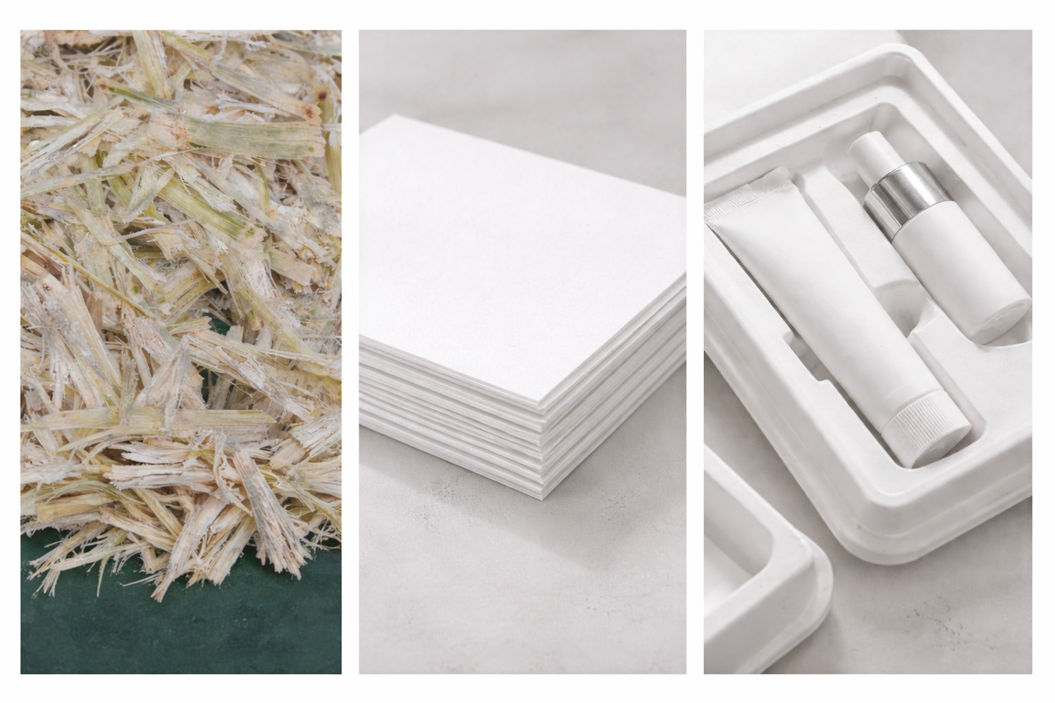 from agricultural residue to premium packaging a journey of purity